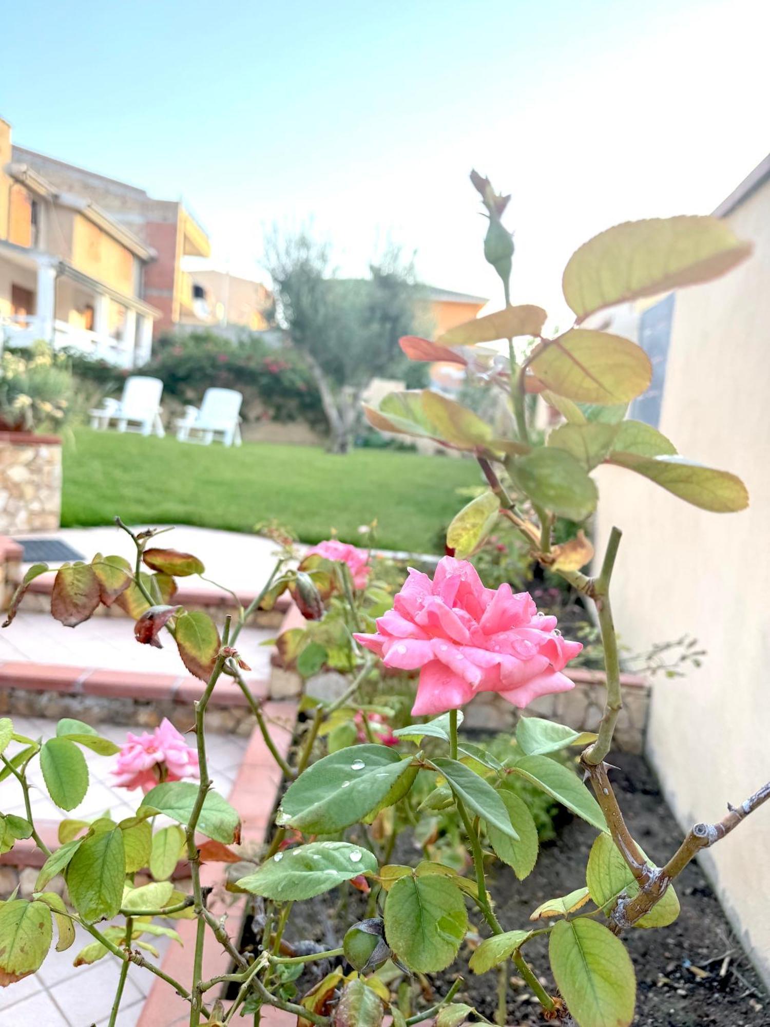 Ferienwohnung Rosa'S House - Zona Ospedaliera Cagliari Exterior foto